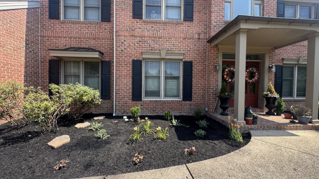 Fresh dark mulch in a front landscape bed beside a brick home