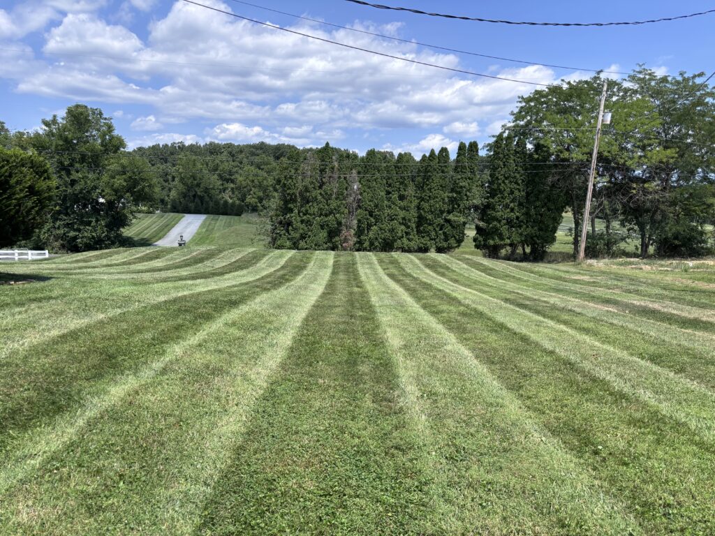 Striped lawn with trees and open space